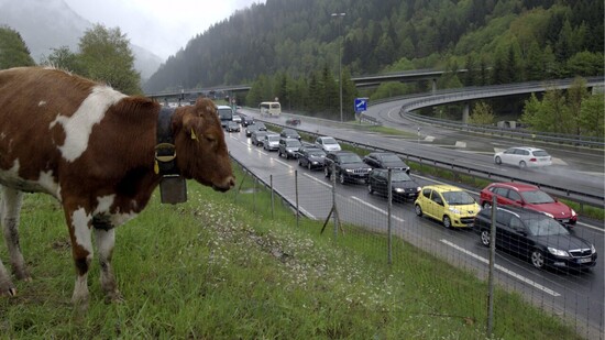 Wegen eines Unfalls im Gotthard-Tunnel staute sich der Verkehr vor beiden Portalen. (Symbolbild)