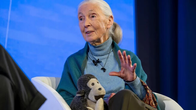 Nimmermüde im Einsatz für unseren Planeten: Die Britin Jane Goodall spricht am Open Forum in Davos. Dabei hat sie ihr treuen Begleiter: das Stofftier «Mr. H». Das «H» steht unter anderem für Hoffnung.