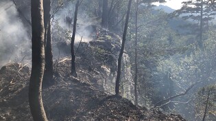 Zum Löschen des Waldbrandes auf dem Roggen bei Balsthal SO ist auch ein Helikopter eingesetzt worden.