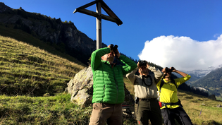 Auf einer Tour mit einem Swiss Ranger erfährst du spannende Informationen über Flora und Fauna.