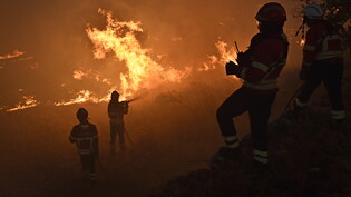 Vor allem Portugal kämpft derzeit wegen der Trockenheit mit Waldbränden.