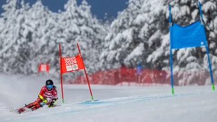 Fabienne Wenger, hier im Riesenslalom an den Olympischen Jugend-Winterspielen in Südkorea, kann Speed und Technik