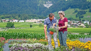 Erfreuen sich auch nach 35 Jahren an der blühenden Pracht: Norbert und Pia Schaniel, Inhaber der Schaniel Gartenbau und Floristik AG in Malans, nehmen eine Pflanze unter die Lupe. 