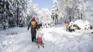 Winterpracht: Eine Familie geniesst das schöne Wetter im verschneiten Wald.