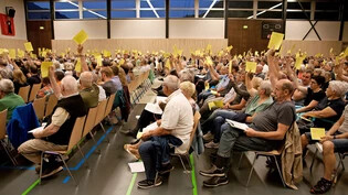 Rund 650 Stimmbürgerinnen und Stimmbürger haben an der Gemeindeversammlung teilgenommen.
