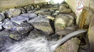 Trocken bis zur Rohreinmündung: In den Sommermonaten wird der Trimosabach in Trin Mulin oft nur vom Wasser aus dem Trinsertunnel gespeist.