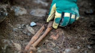 Feinstarbeit: Mitarbeitende des Archäologischen Diensts Graubünden bergen derzeit in Tamins-Rüefa die teils fragilen Skelette einer frühmittelalterlichen Beerdigungsstätte.