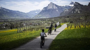 Fast schon Sommer: Vergangenen Samstag geniesst eine Gruppe Radfahrende die warmen Temperaturen auf einer Tour durch die Maienfelder Weinberge.