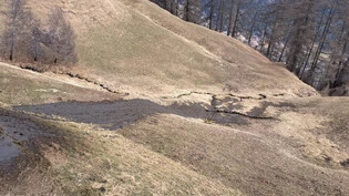 Den Ual da Suden verschmutzt: Nach dem Vorfall vom März 2023 zeigt sich auf den betroffenen Wiesen am Schamserberg ein Güllestrom.