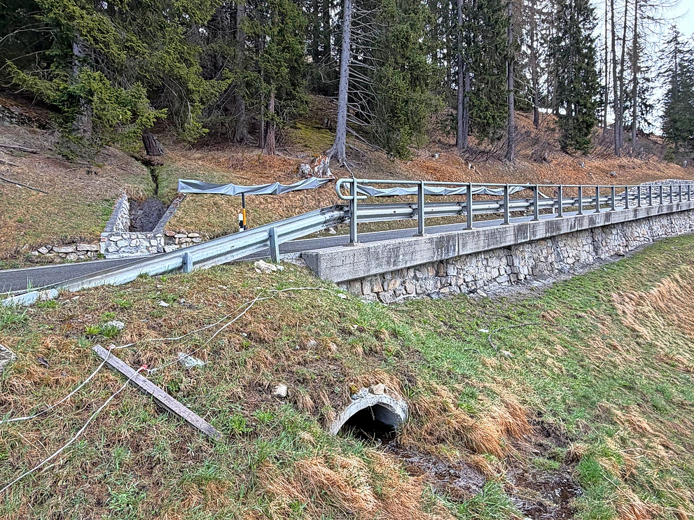 An der Clavadelerstrasse lenkt ein Zaun die Amphibien gezielt zu einem unter der Strasse angelegten Durchlass, der eine sichere Querung ermöglicht.